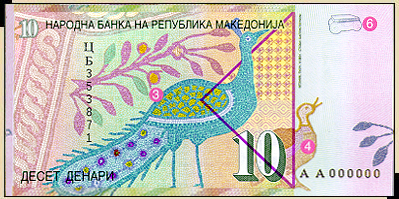 10 den - reverse