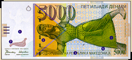 5000 den - front